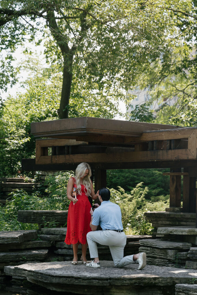 Summer Alfred Caldwell Lily Pond Lincoln Park Proposal Photos. Place to propose in Chicago